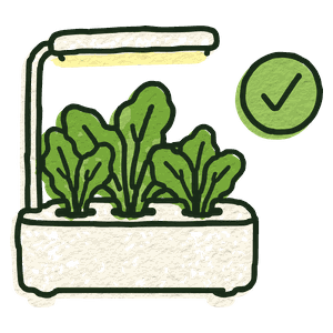 A countertop kit with healthy leaves and a tick